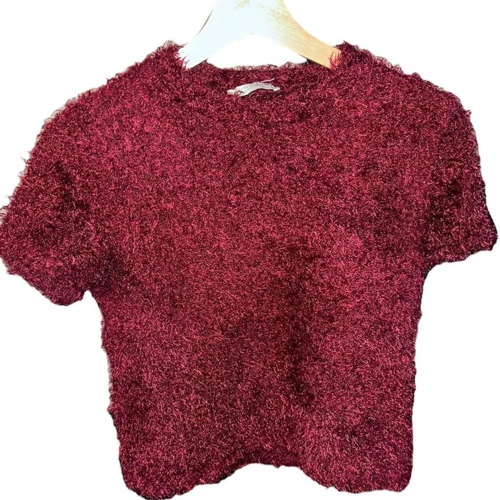 Zara Burgundy Fuzzy Crop Top